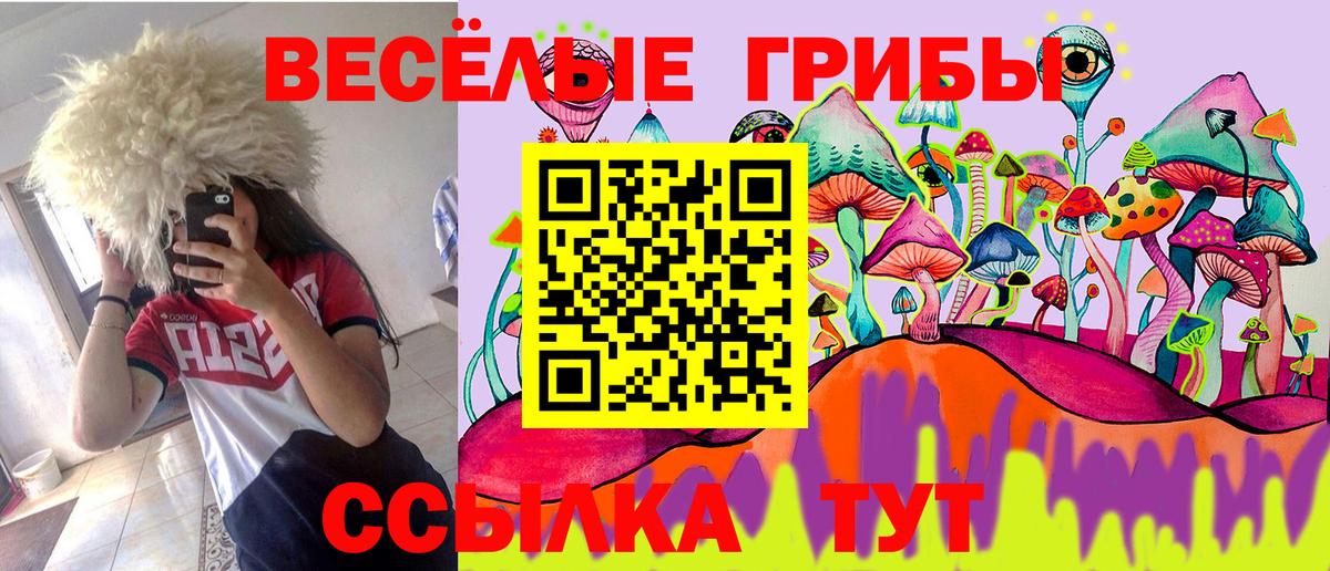 Находка  Псилоцибиновые грибы мухоморы  Вход с VPN 